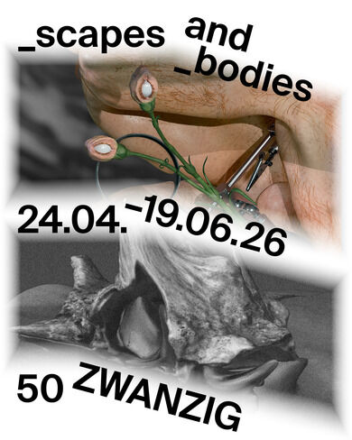 _scapes and _bodies / 