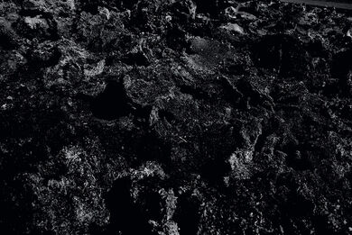 MEMORIES OF SELECTED TERRAIN / 
